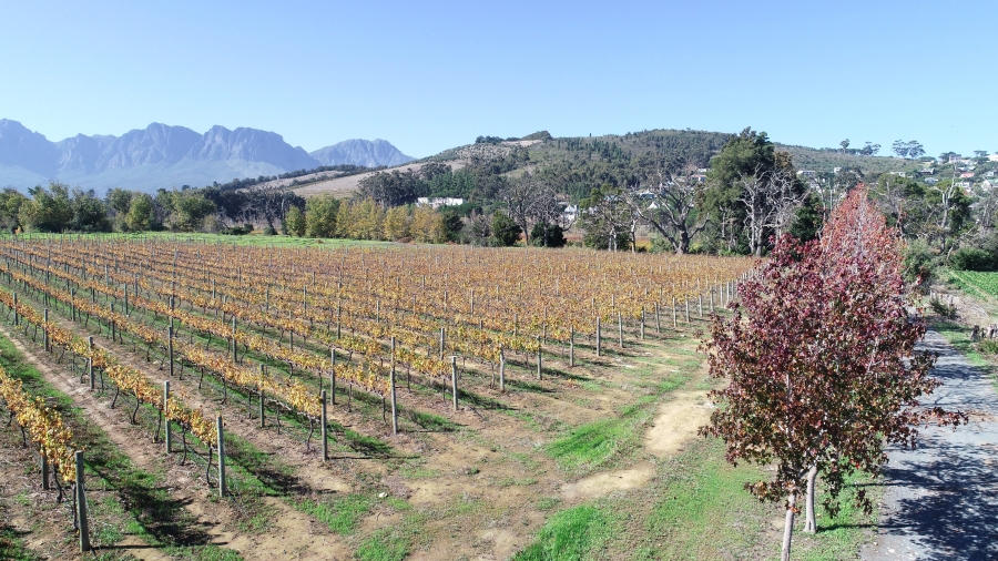 5 Bedroom Property for Sale in Stellenbosch Farms Western Cape